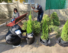 День древонасаждения "Вместе мы – сила!"